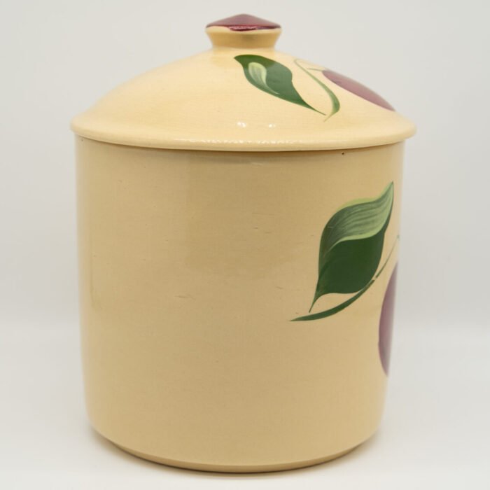 apple-72 canister-b