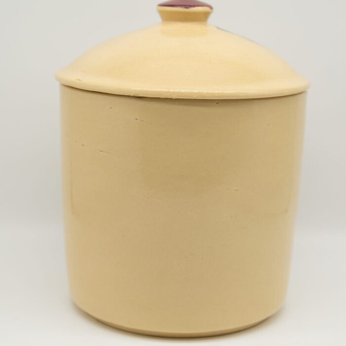 apple-72 canister-c