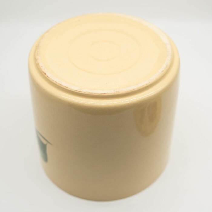 apple-72 canister-f