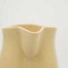 green-banded-pitcher-b