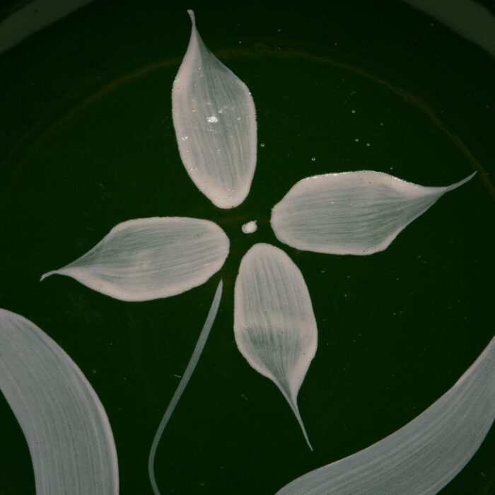 watt-pottery-green-starflower-39-bowl-3206