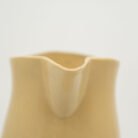 white-banded pitcher-b
