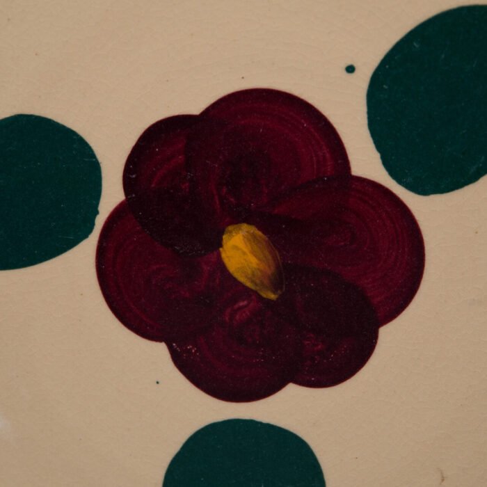 Pansy49B Pansy49B