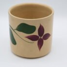 Starflower81X